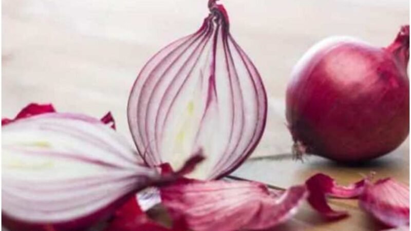 Salmonella tainted onions causing dread