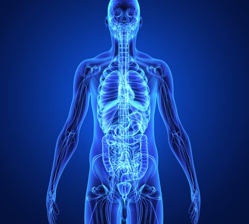 Substance misuse wrecks the body