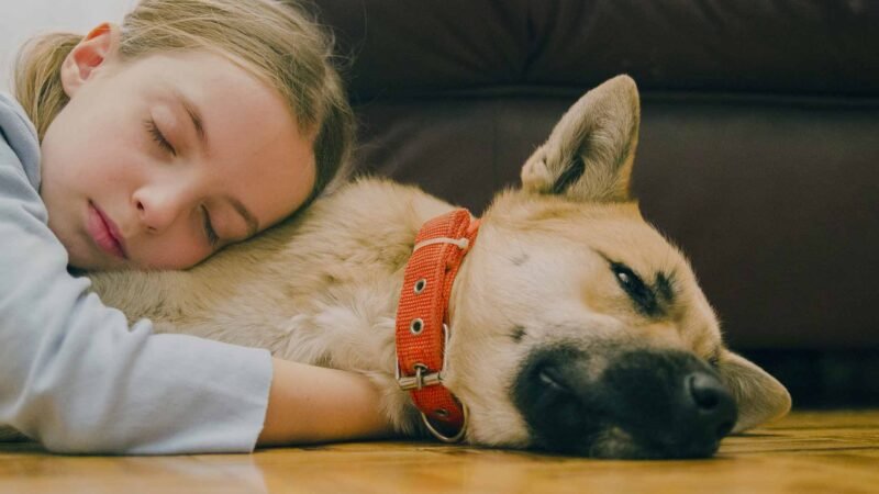 Advantages of having a canine as a pet