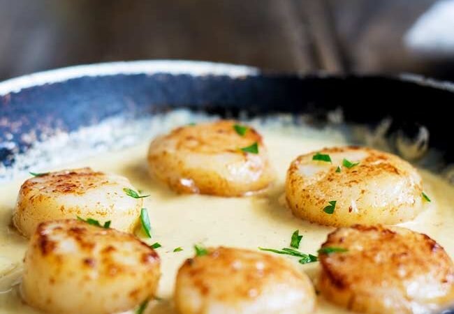 Container Seared Scallops Saffron Cream Recipe