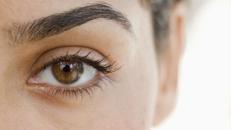 Stressed over parse and sparse eyebrows?