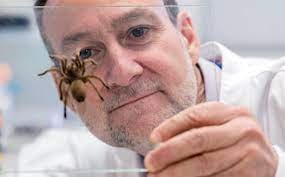 Develop Drug From Deadly Spider’s Venom To Treat Heart Attack Patients