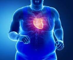Higher muscle cause decreased heart illness