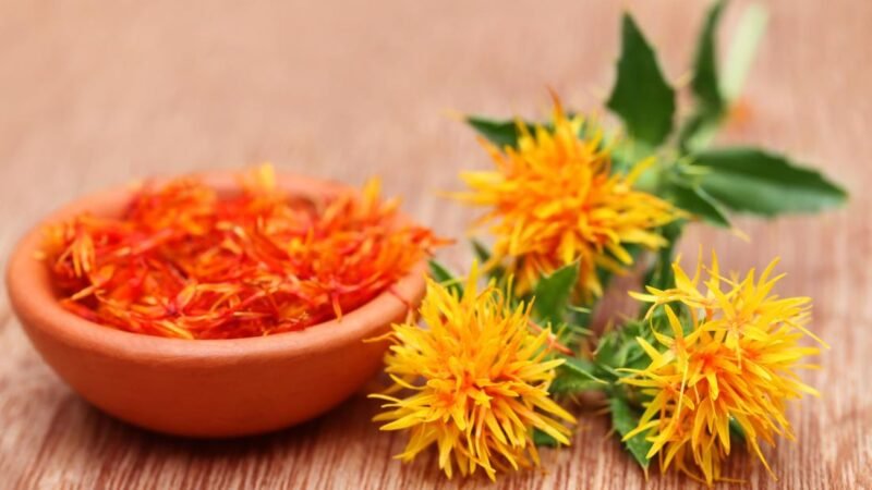 Medical advantages of safflower oil