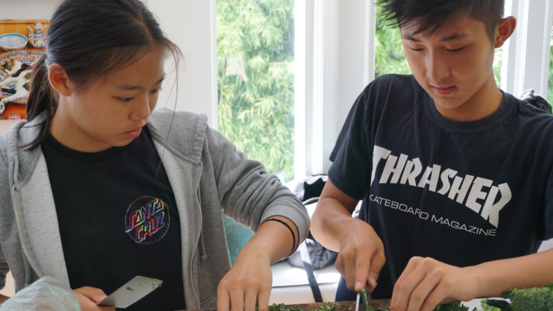 5 food governs each youngster should follow