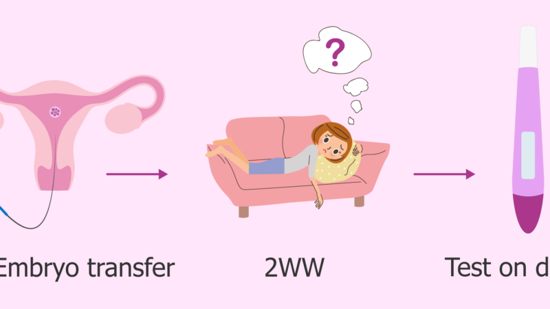 Caring Yourself After Embryo Transfer