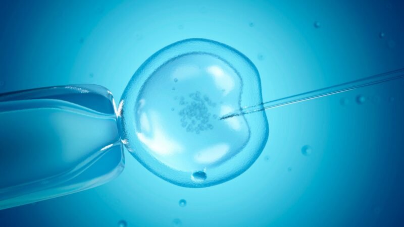 IVF brings disease risk up in kids