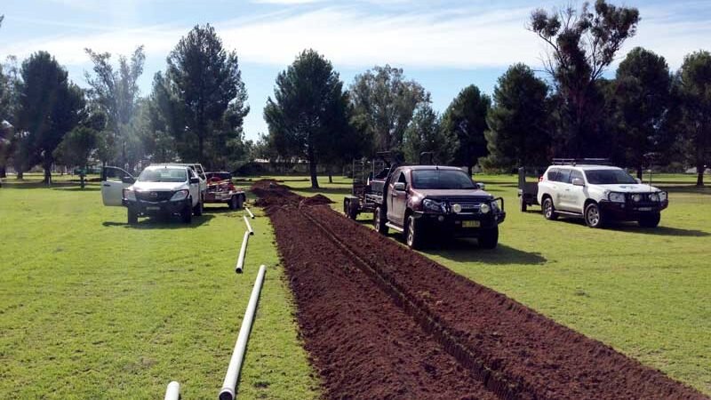 Are you an undertaking sports darling?