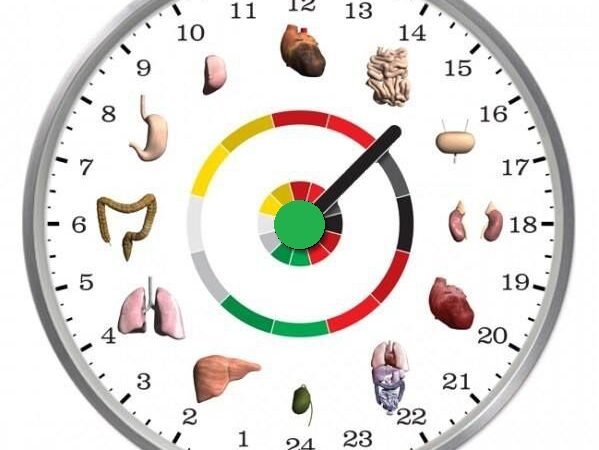 Missing part assumes a part in our body clock