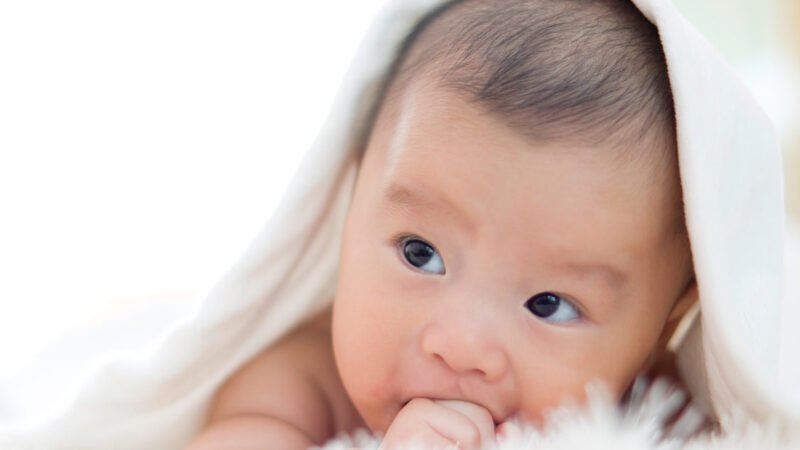 Hazard of birth deformity expanded in IVF