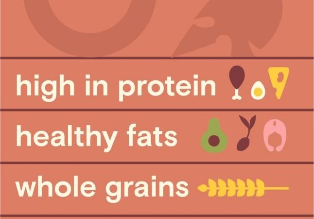 Warrior Diet keeps your brain healthy