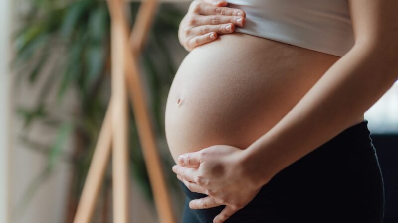 A few Insights Couples Ought to Know IVF