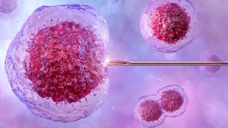 Repetitive Implantation Disappointment