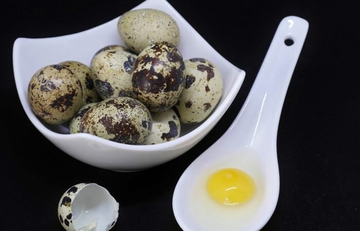 Why You Ought to Eat Quail Eggs