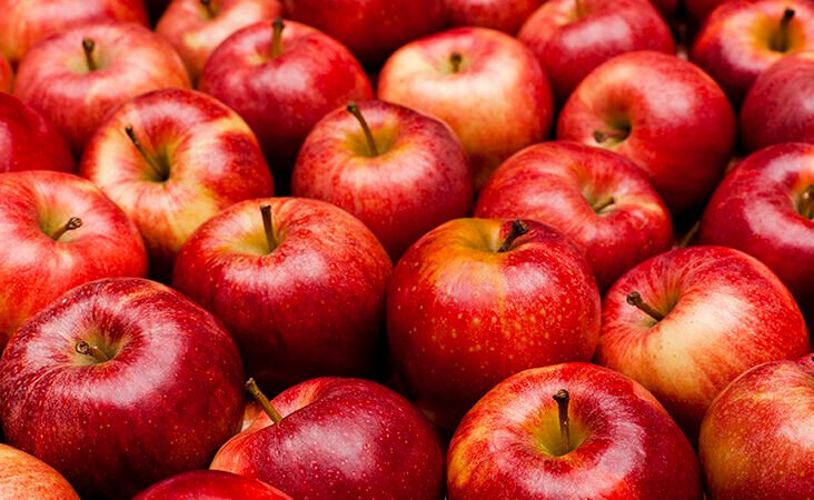 Apple Daily Influence Diabetes & Glucose levels