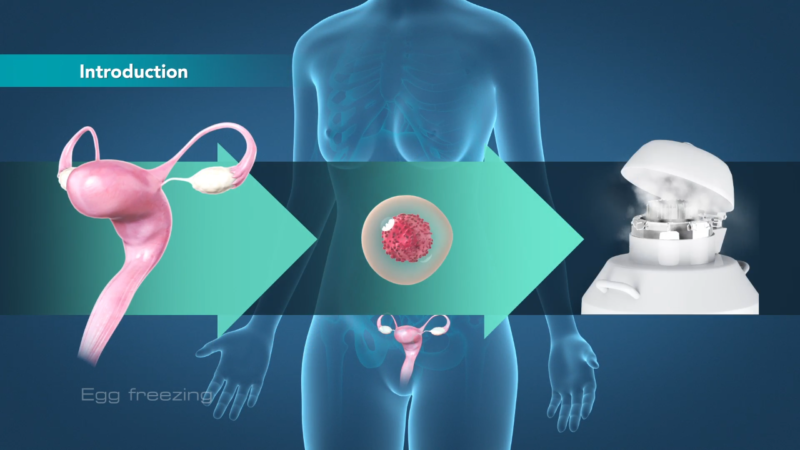 Freeze Eggs Before Treatment For The Infection