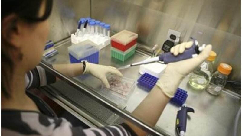 Helped Regenerative Innovation in IVF