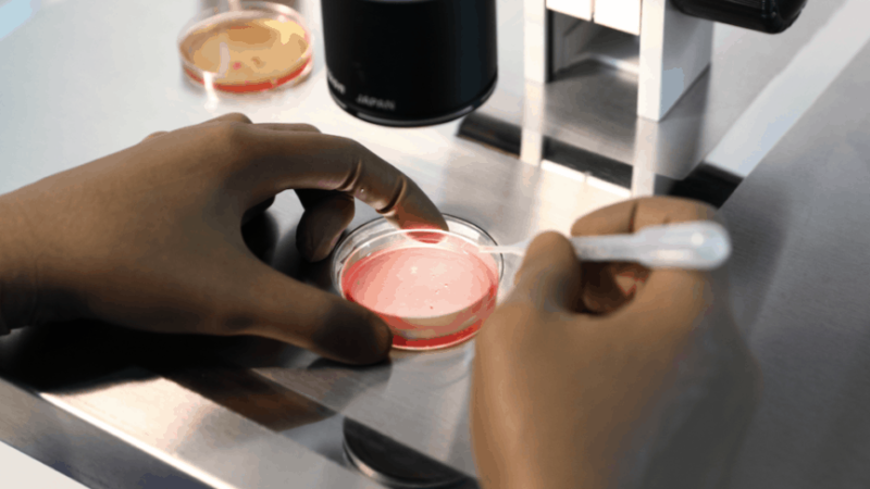 Arranging A Late Origination Through IVF?