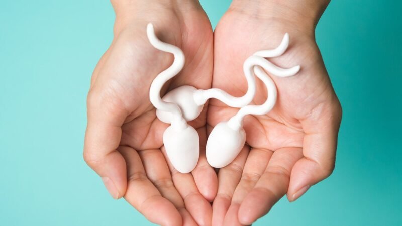 5 Indicators That You May Have A Fertility Issue