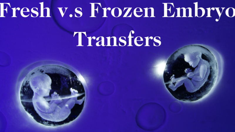 Frozen Embryos As Good As Fresh Embryos