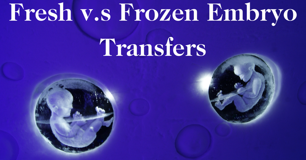 Frozen Embryos As Good As Fresh Embryos
