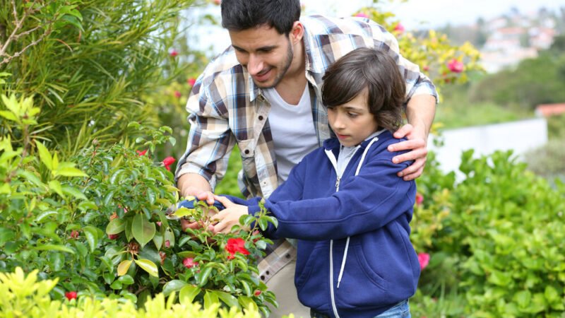 Father-Watch Out These Plants