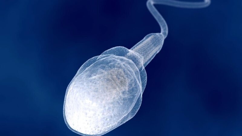 A Gel To Supercharge Male Richness