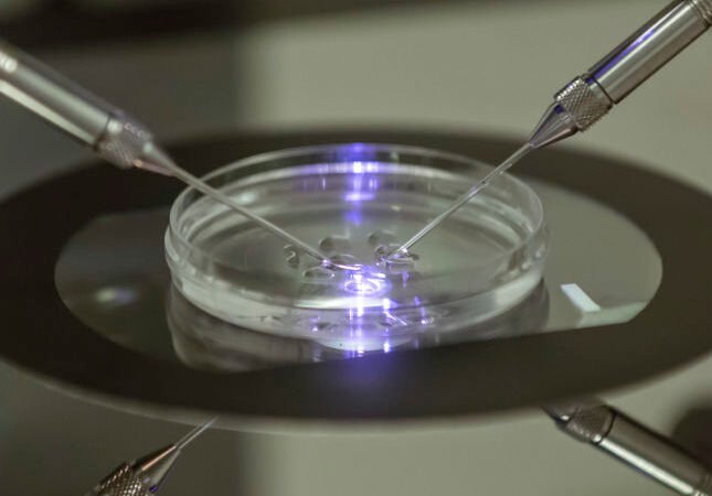 IVF That Decreases Chance Of genetic diseases