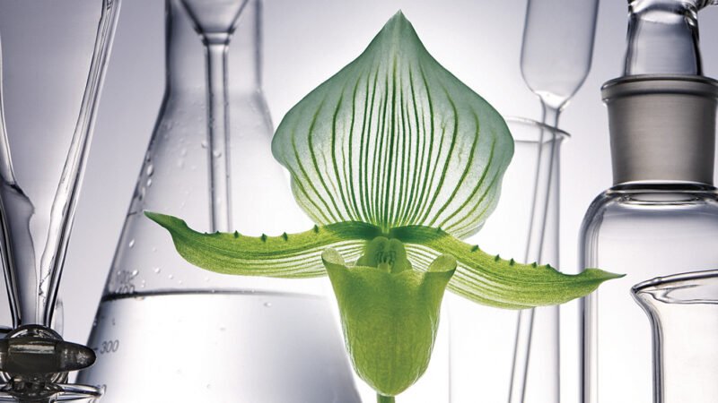 Helped Conceptive Innovation