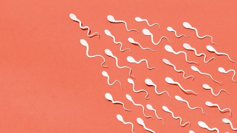 COVID-19 Infection Temporarily Reduce Fertility