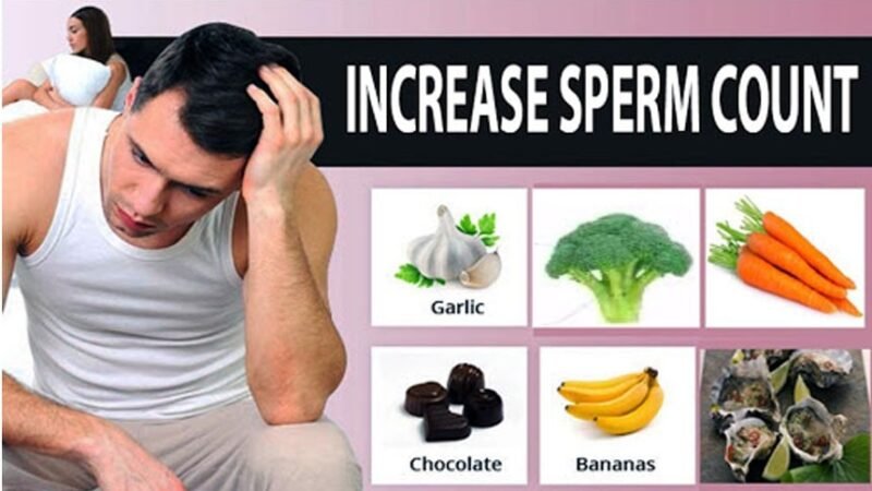 Tips To Further develop Your Sperm Quality