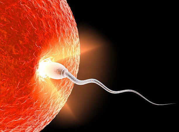 Choices For Men with Low Sperm Count