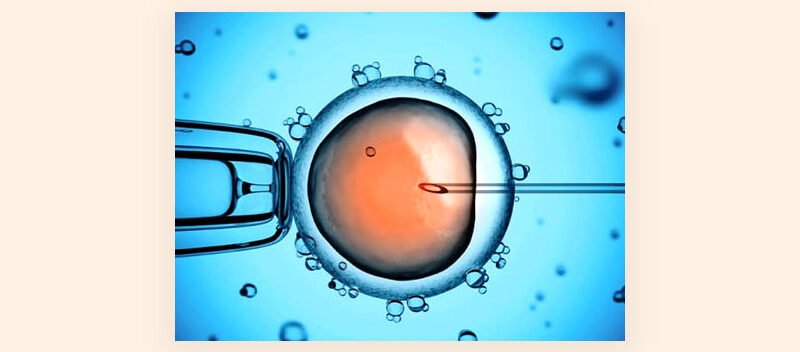 Energize Sound Sperm