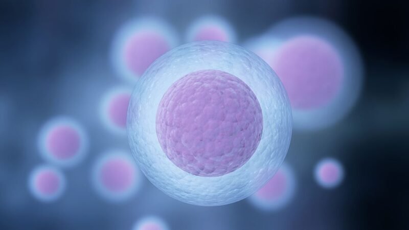 History In IVF Innovation