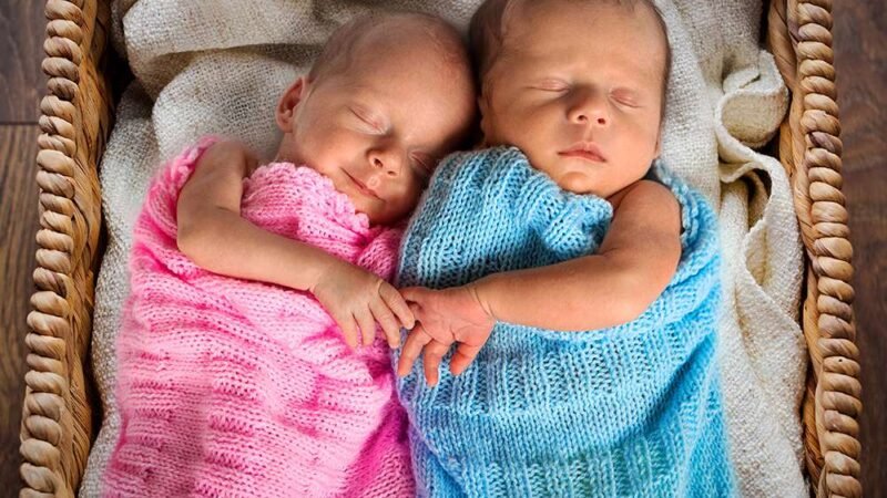 Girl Are Over Boy By IVF Guardians