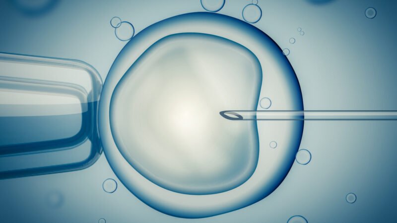 How many IVF Cycles Should A Couple Go?